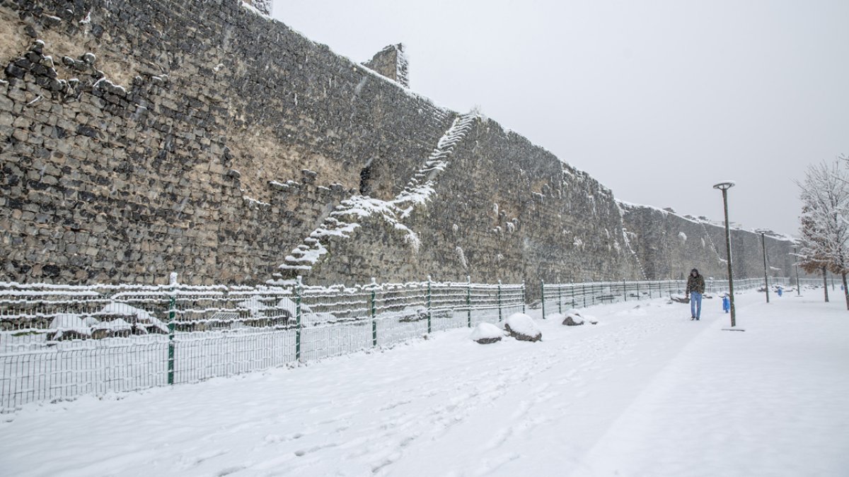 Amed de reyna vewre varena