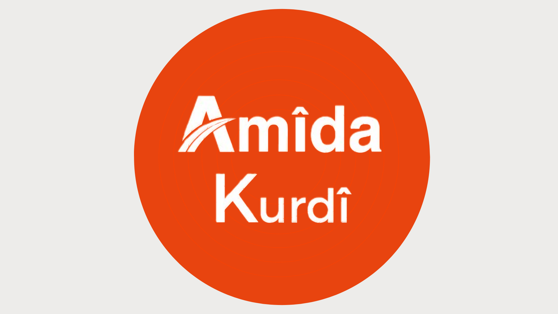 Amîda Kurdî dest pê dike!