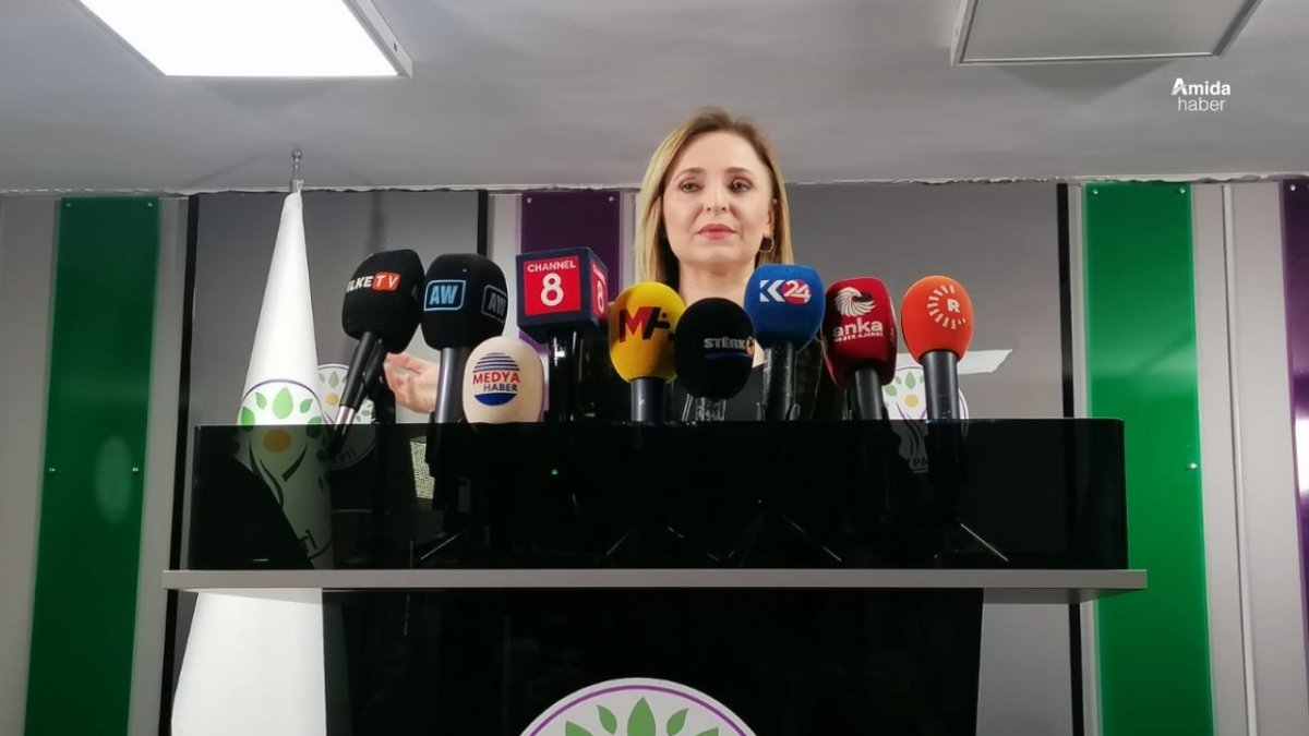 Ayşegül Doğan: Divê Tirkiye roleke baş bilîze
