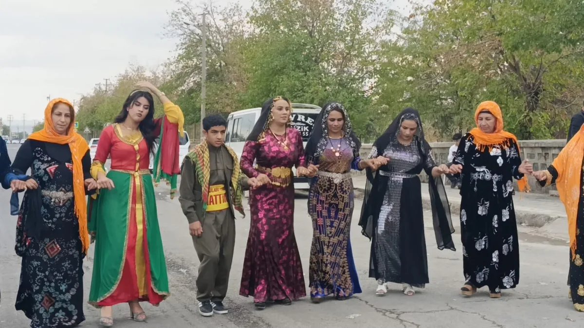 Kî ne ev Domên Amedê?